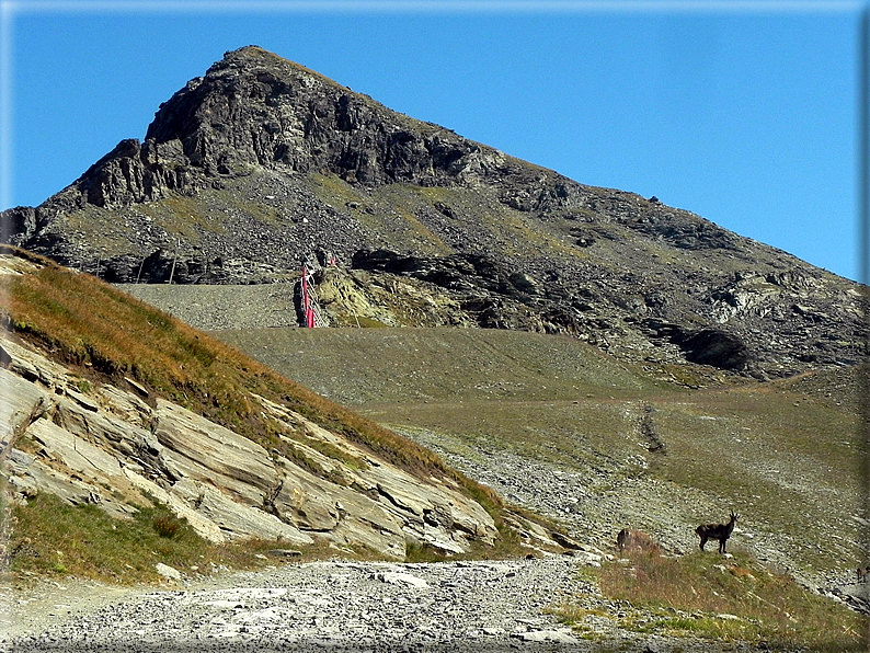 foto Passo dei Salati e Col d'Olen